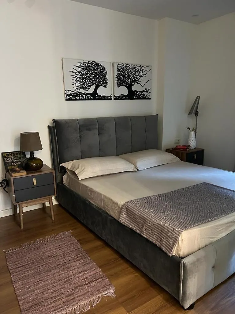 Amma'S Apartment In Tirana! 0*, Tirana Albania